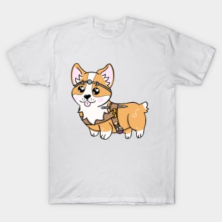 Corgi Stargazer | Sorcerer | Alchemist | DND Dog T-Shirt